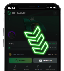 Withdrawal section on BC Game